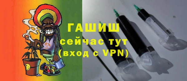 индика Бронницы